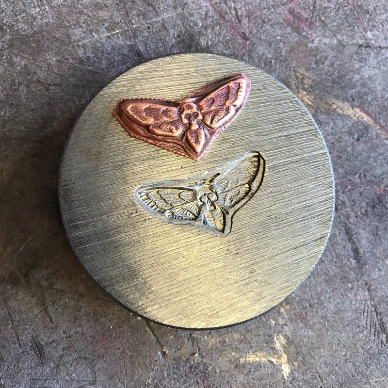 Death Head Moth Impression Die